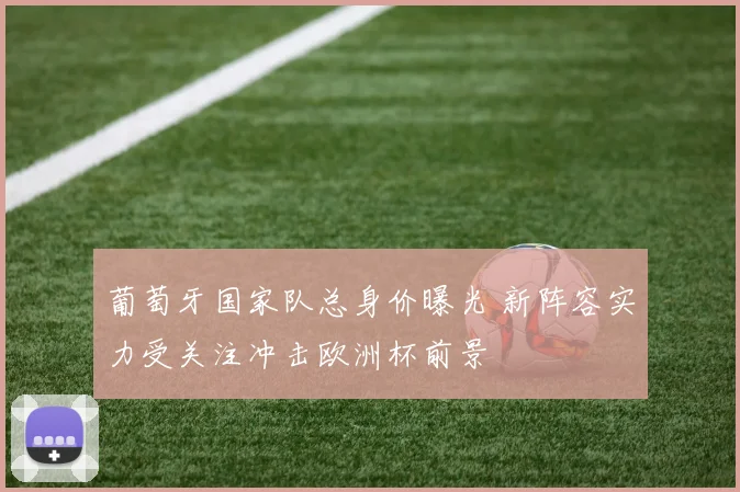 葡萄牙国家队总身价曝光 新阵容实力受关注冲击欧洲杯前景