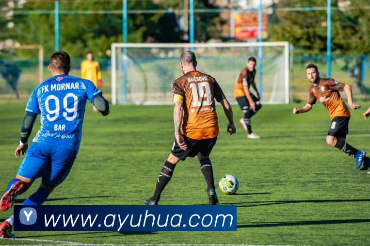 开云在线登录入口app服务体系